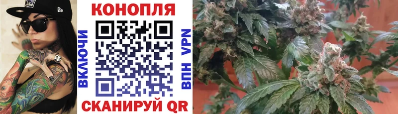 МЕФ Няндома